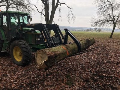 Stammgreifer | Niederhalter | Holzgreifer | Palettengabel | FEM2