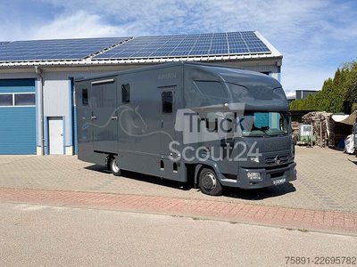 Viehtransporter Renault D2 Pferdetransporter 180 PS Klima Euro 6 gebraucht