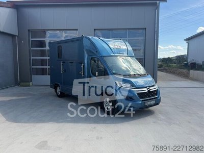 Viehtransporter Citroën Pferdetransporter Nur 68,000KM 2 Ride gebraucht