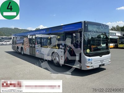 MAN A 26 Lions City LL