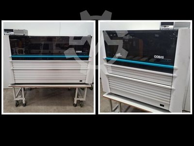 Roche COBAS TaqMan AmpliPrep