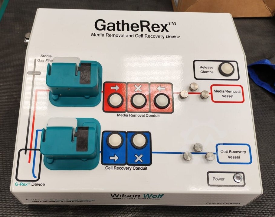 Wilson Wolf Gatherex 80000Z