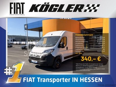 Kastenwagen hoch Fiat Ducato gebraucht