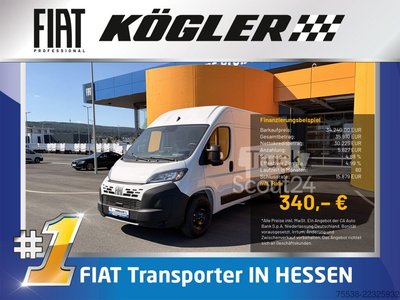 Kastenwagen hoch Fiat Ducato gebraucht