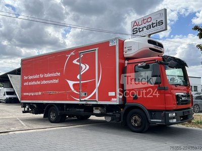 Kühlkoffer-LKW MAN TGL 12.220 Klima Kiesling ThermoKing T-1000R -20 gebraucht