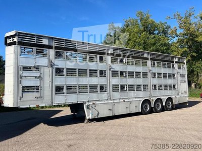 Viehtransport Pezzaioli 1/2/3 Livestock Type 2 Perfect condition gebraucht