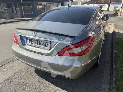 Zdjęcie 5
