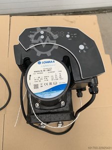 Lowara Ecocirc XL 40-180 F