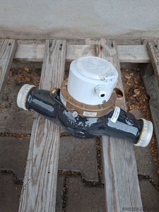 Corona DP 405