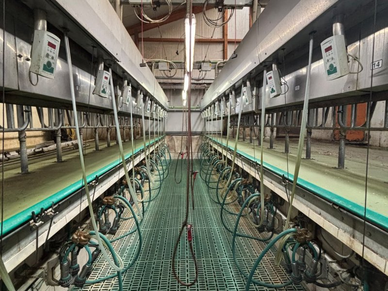 GEA Farm Technologies Side by Side Melkstand Melkstand