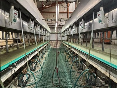 GEA Farm Technologies Side by Side Melkstand Melkstand